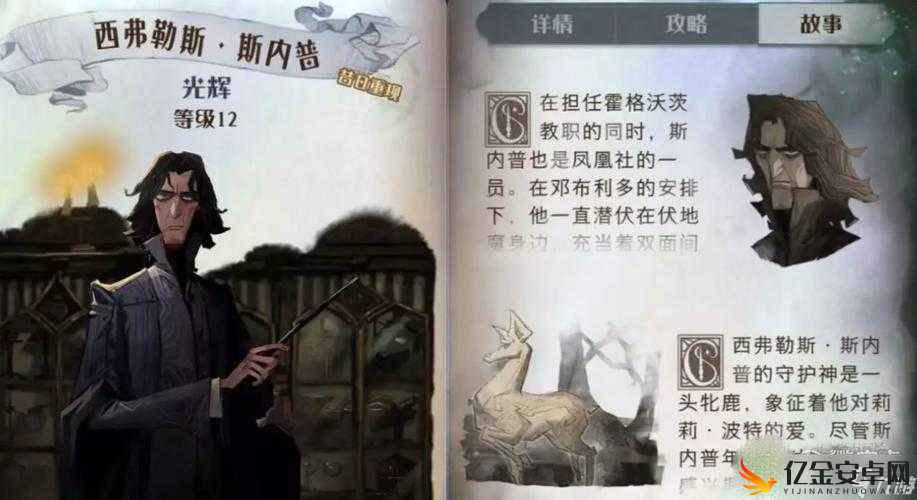 哈利波特魔法觉醒，深度解析伙伴卡搭配策略，助你解锁战斗效能新境界