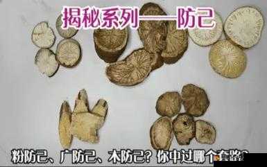 欧美精产国品一二三产品区别在哪：品质、性能与使用体验大揭秘